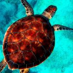 destacada-2-1280x720